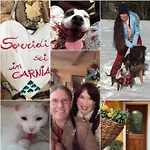 La Casina Di Butzi Pet Friendly - Terme Di Arta - Zoncolan Vakantiehuis *