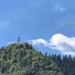 La Casina Di Butzi Pet Friendly - Terme Di Arta - Zoncolan Vakantiehuis *