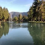 La Casina Di Butzi Pet Friendly - Terme Di Arta - Zoncolan * Arta Terme