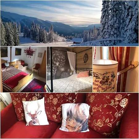 La Casina Di Butzi Pet Friendly - Terme Di Arta - Zoncolan *