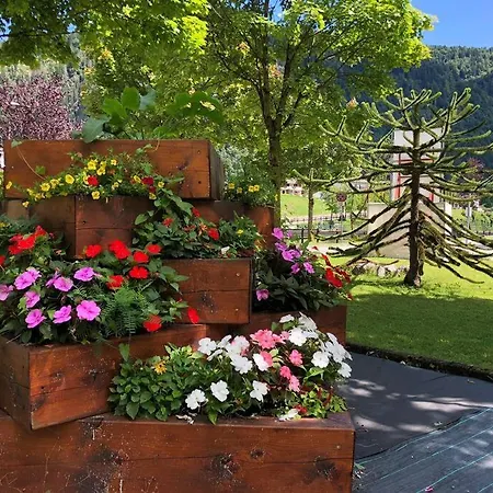 La Casina Di Butzi Pet Friendly - Terme Di Arta - Zoncolan * Arta Terme