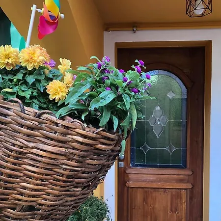 La Casina Di Butzi Pet Friendly - Terme Di Arta - Zoncolan