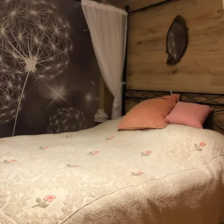 Tatil Evi La Casina Di Butzi Pet Friendly - Terme Di Arta - Zoncolan