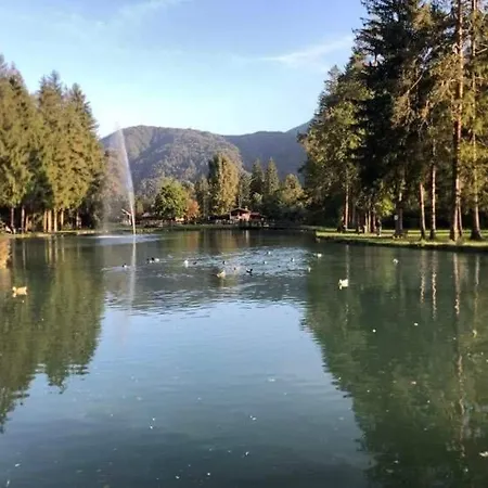 La Casina Di Butzi Pet Friendly - Terme Di Arta - Zoncolan * Arta Terme